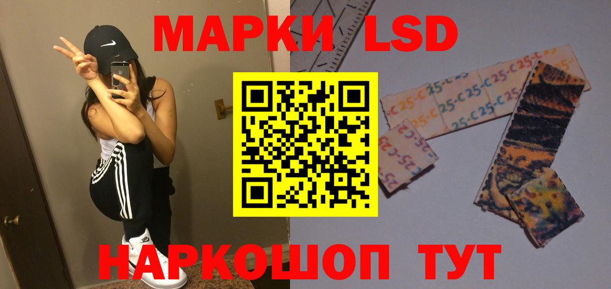 Бердск  ЛСД экстази ecstasy  Вход с VPN  omg ONION  LSD-25 экстази кислота 