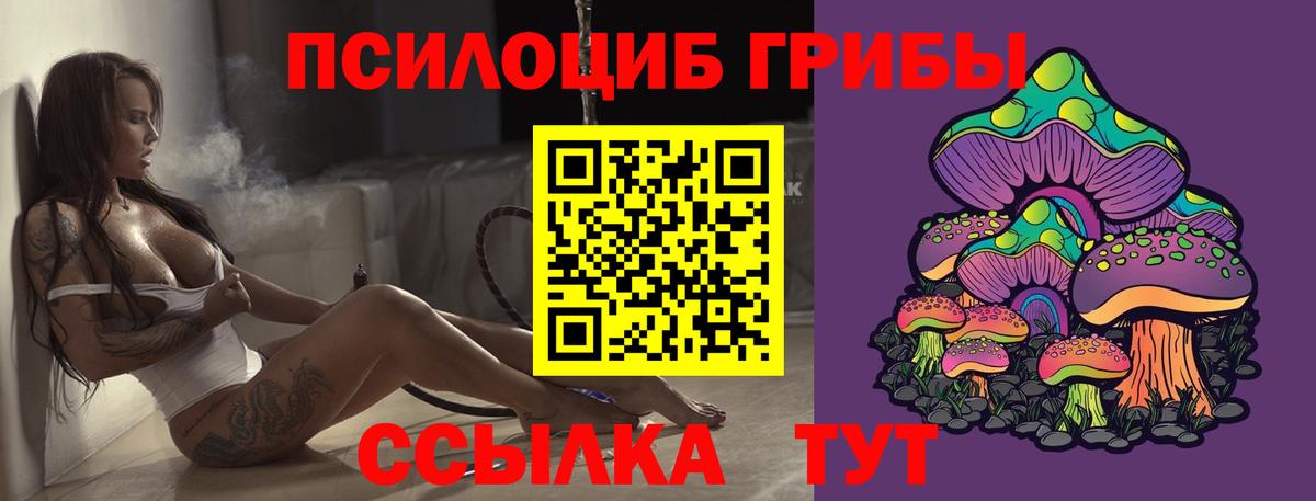 Галлюциногенные грибы Magic Shrooms  Псилоцибиновые грибы мицелий  Вход с VPN  Бердск 