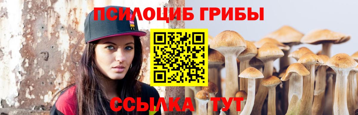 Псилоцибиновые грибы Magic Shrooms Бердск