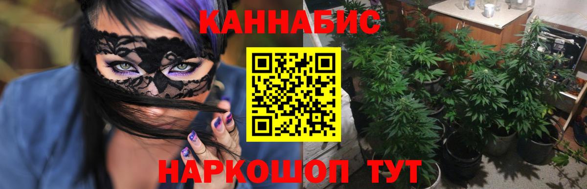 Канабис план Бердск